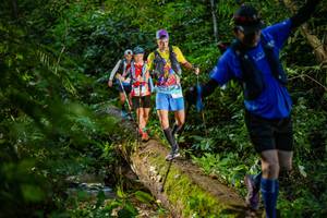 BIB: 
                            <button type="button" onclick="openModal(18922646)" class="btn btn-primary btn-sm float-right btn-popup" data-toggle="modal" data-target=".modal-high-quality">
                        <i class="fas fa-shopping-cart"></i> Add to Cart
                    </button>
                                            <button type="button" onclick="isThisMe(18922646, true)" class="btn btn-success btn-sm float-right btn-popup btn-isme hidden" data-toggle="tooltip" data-placement="bottom" title="นี่คือรูปของคุณใช่ไหม คลิกที่นี่เพื่อเอาเข้าอัลบั้ม">
                        <i class="fas fa-plus"></i> Add to album
                    </button>
                    <button type="button" onclick="isThisMe(18922646, false)" class="btn btn-warning btn-sm float-right btn-popup btn-isnotme hidden">
                        <i class="fas fa-ban"></i> Remove from album
                    </button>